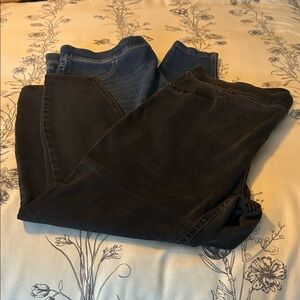 Time and Tru Jeggings - (2) 1X